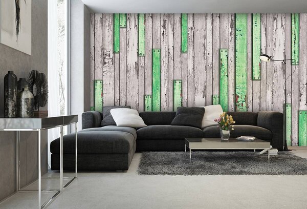Fototapeta - Šedá a zelená potrhaná doska (152,5x104 cm)