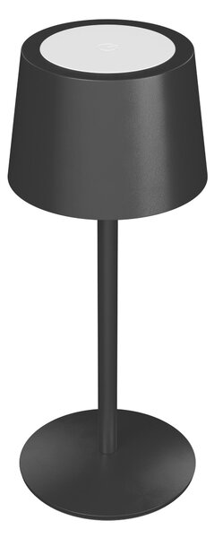 NABÍJATEĽNÁ STOLNÁ LAMPA, 9/22 cm Novel - Interiérové svietidlá