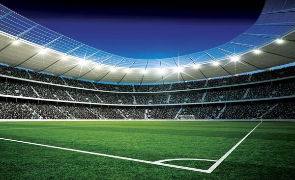 Fototapeta - Futbalové ihrisko (254x184 cm)