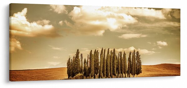 Obraz čistinky (120x50 cm)