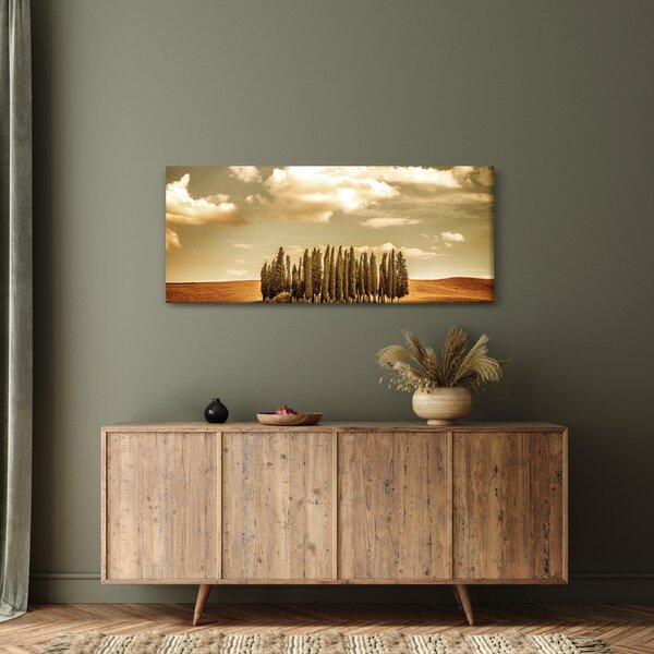 Obraz čistinky (120x50 cm)