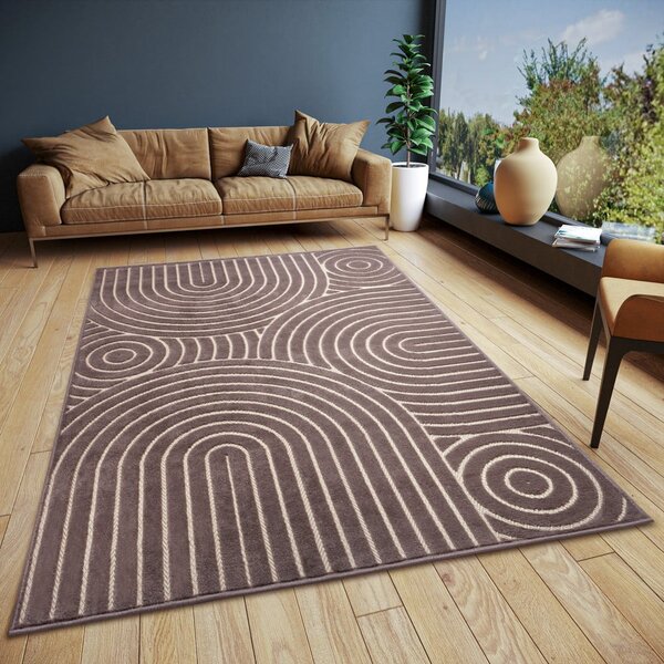 Hnedý koberec 160x235 cm Iconic Wave – Hanse Home