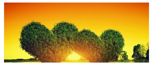 Obraz - Srdce v korunách stromov (120x50 cm)
