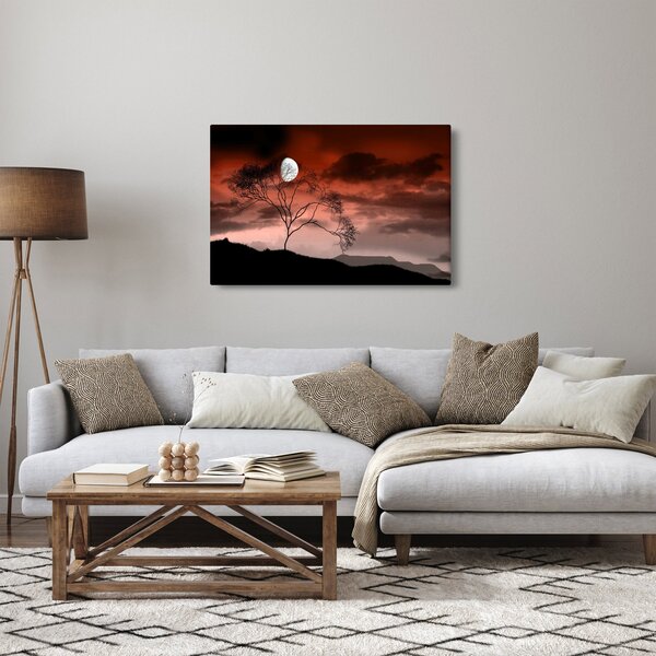 Obraz - Mesiac osvetľujúce noc (90x60 cm)
