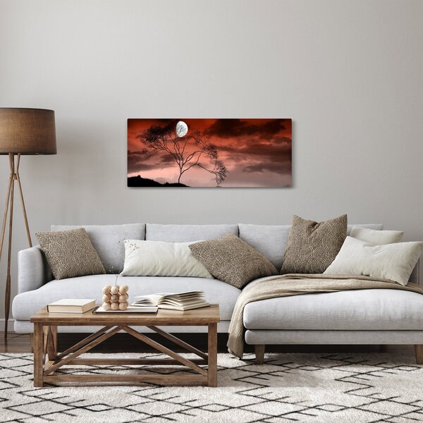 Obraz - Mesiac osvetľujúce noc (120x50 cm)