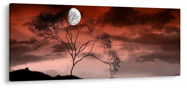 Obraz - Mesiac osvetľujúce noc (120x50 cm)