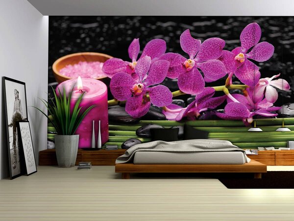 Fototapeta - Ružové orchidey (152,5x104 cm)