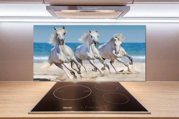 Panel do kuchyne Biele kone pláž pl-pksh-100x50-f-95257914
