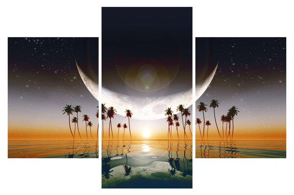 Obraz - Mesiac nad palmami (90x60 cm)