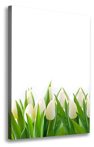 Foto-obraz canvas do obývačky Biele tulipány