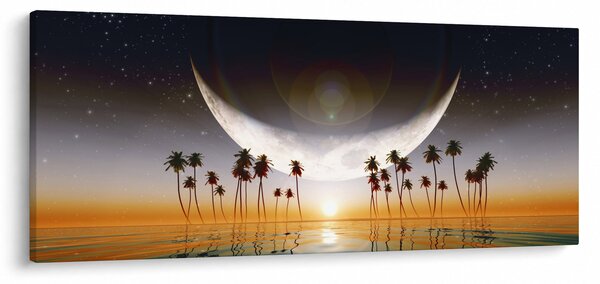 Obraz - Mesiac nad palmami (120x50 cm)
