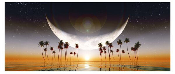 Obraz - Mesiac nad palmami (120x50 cm)