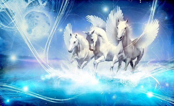 Fototapeta - Pegasus na modrom pozadí (152,5x104 cm)