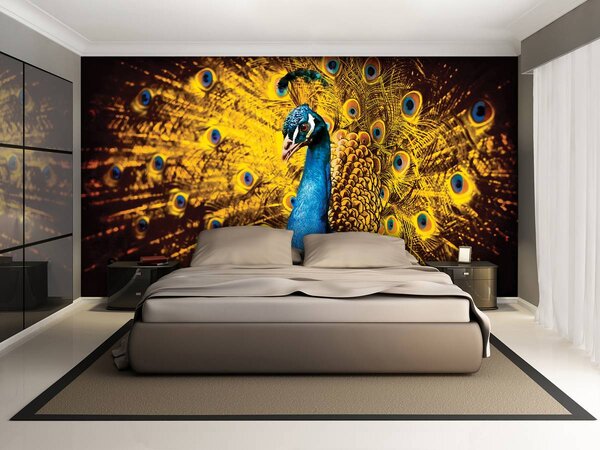 Fototapeta - Páv so žltým perím (152,5x104 cm)
