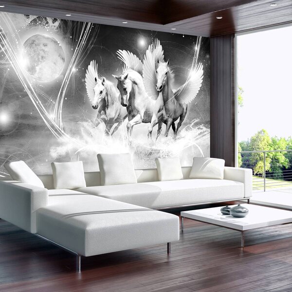 Fototapeta - Kone (152,5x104 cm)