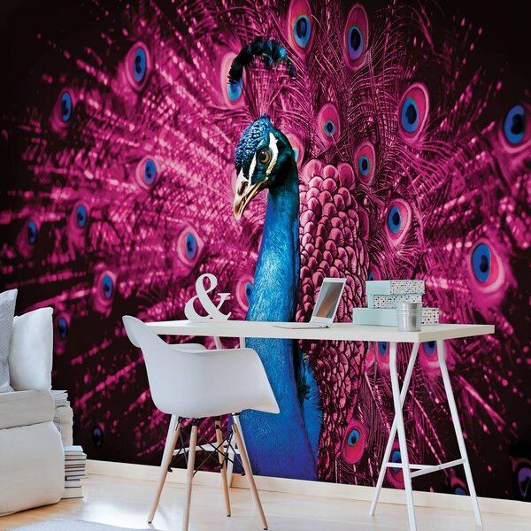 Fototapeta - Páv s ružovým perím (152,5x104 cm)