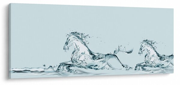 Obraz - Kone z kvapiek vody (120x50 cm)