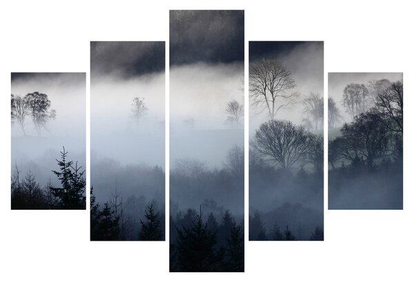 Obraz hmly nad lesom (150x105 cm)