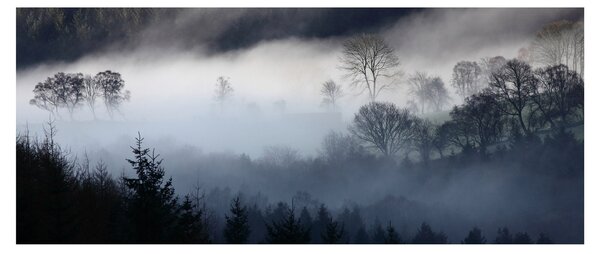 Obraz hmly nad lesom (120x50 cm)