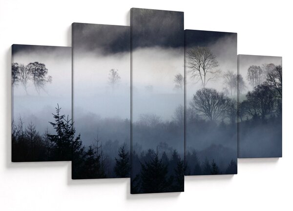 Obraz hmly nad lesom (150x105 cm)