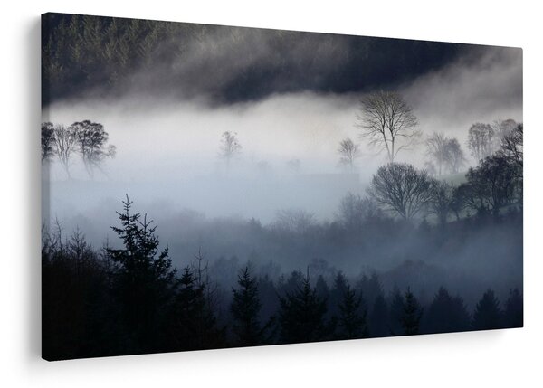 Obraz hmly nad lesom (90x60 cm)