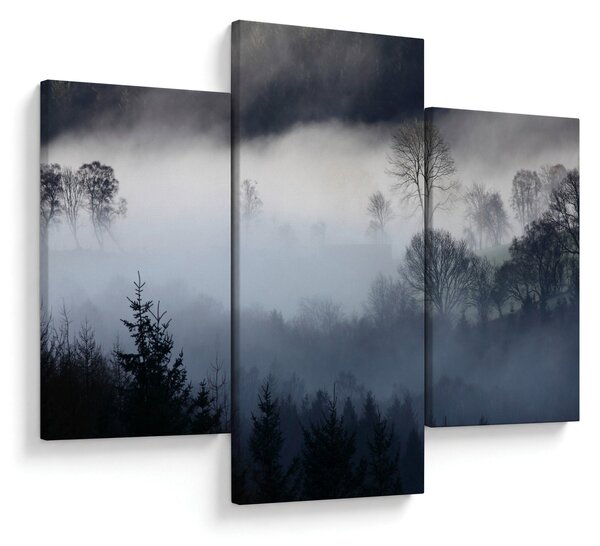 Obraz hmly nad lesom (90x60 cm)