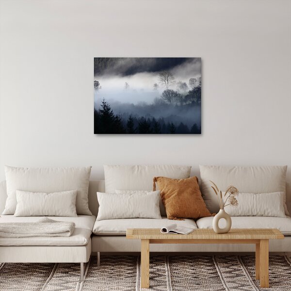 Obraz hmly nad lesom (70x50 cm)