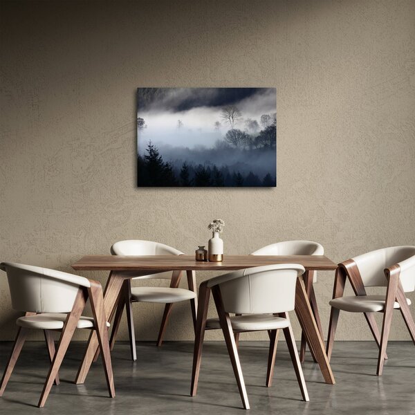 Obraz hmly nad lesom (70x50 cm)