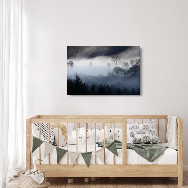 Obraz hmly nad lesom (90x60 cm)