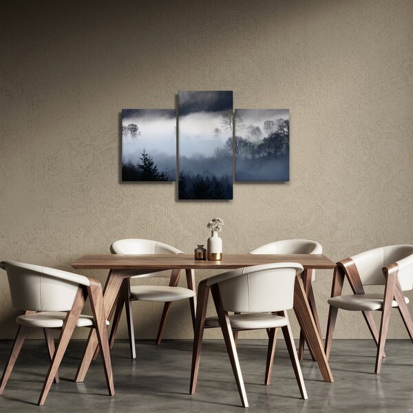 Obraz hmly nad lesom (90x60 cm)