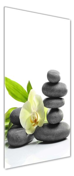 Fotoobraz na skle Orchidea a kamene pl-osh-50x125-f-68592259