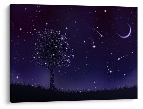 Obraz - Noc zachytená ilustrácou (70x50 cm)