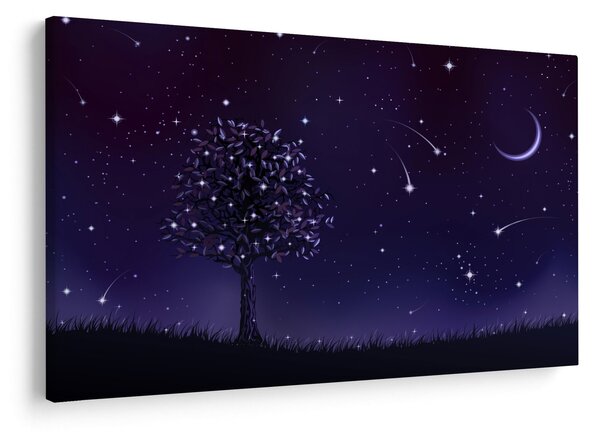 Obraz - Noc zachytená ilustrácou (90x60 cm)