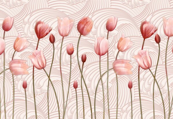 Fototapeta - Ružové tulipány (147x102 cm)