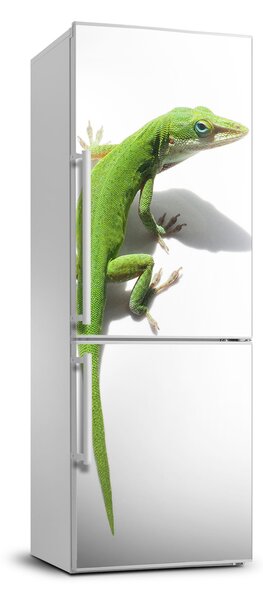 Foto tapeta na chladničku Zelená jašterica