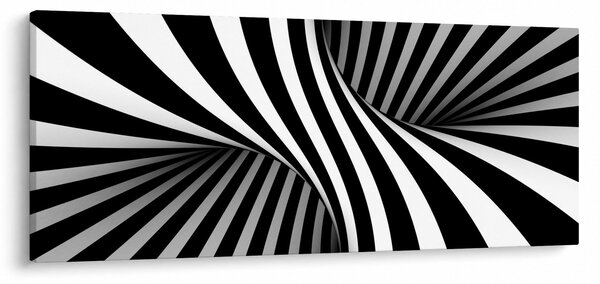 Abstraktní obraz so zebrymi pruhmi (120x50 cm)