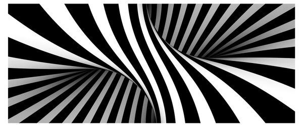 Abstraktní obraz so zebrymi pruhmi (120x50 cm)