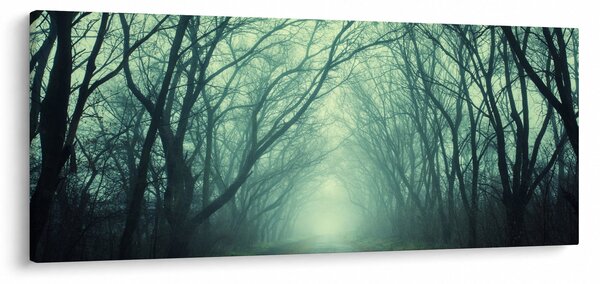 Obraz - Cesta s alejou stromov (120x50 cm)