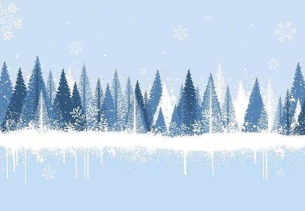 Fototapeta - Chladná zima (147x102 cm)
