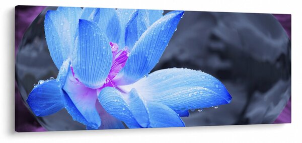 Obraz kvetu v detaile (120x50 cm)