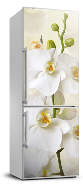 Nálepka fototapety na chladničku Orchidea