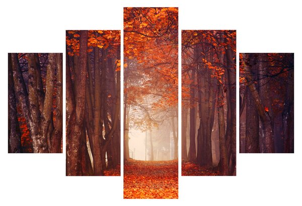 Obraz - Jesenné les (150x105 cm)