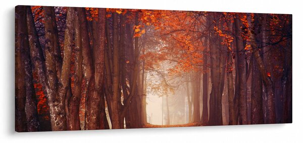 Obraz - Jesenné les (120x50 cm)