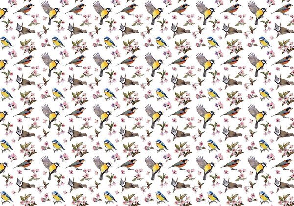 Fototapeta - Vtáčiky a kvetinový vzor (152,5x104 cm)