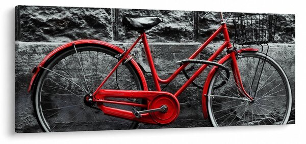 Obraz - Historický bicykel (120x50 cm)