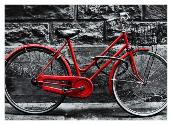 Obraz - Historický bicykel (70x50 cm)