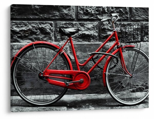Obraz - Historický bicykel (70x50 cm)