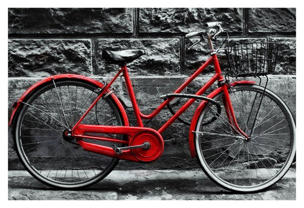 Obraz - Historický bicykel (90x60 cm)