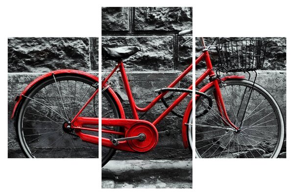 Obraz - Historický bicykel (90x60 cm)