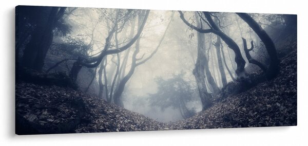 Obraz - Les v hmle (120x50 cm)